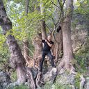  ,   , 53 ,     , c 