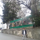  ,   , 50 ,   ,   , c 