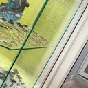 ���������� ������, ���� ������� �����, 37 ���, ������������ ��� ������, ����� � ���������, ���������