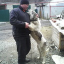  ,   Sergei, 49 ,   