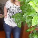 ���������� ������, ���� ������� ���������, 31 ���, ������������ ��� ������, ����� � ���������, c�������� ���������