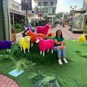 ���������� ������, ���� ������� �������, 49 ���, ������������ ��� ����� � ���������, c�������� ���������