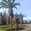  ,   , 36 ,   ,   , c , 