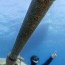 ���������� ��������, ���� ������� ����, 26 ���, ������������ 