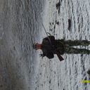  ,   Eduard, 55 ,   