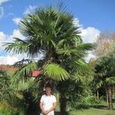 ���������� �����������, ���� ������� ���������, 46 ���, ������������ ��� ����� � ���������, c�������� ���������