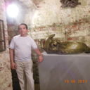  -,   , 47 ,   