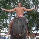 ���������� ����������, ���� ������� ���������, 41 ���, ������������ ��� ������