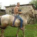 ���������� ���������, ���� ������� �������, 40 ���, ������������ ��� ������, ����� � ���������