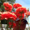  ,   Mehmet, 59 ,   ,   
