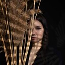 ���������� ������, ���� ������� ������, 23 ����, ������������ ��� ������, ����� � ���������