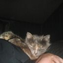  ,   , 40 ,   ,   , c 