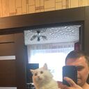 ���������� ������, ���� ������� ������, 36 ���, ������������ ��� ������, ����� � ���������, c�������� ���������, ���������