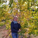  ,   , 65 ,   ,   