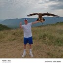  ,   , 44 ,   ,   , c , 