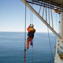 ���������� �������, ���� ������� Barry jayk R, 60 ���, ������������ ��� ������, ����� � ���������