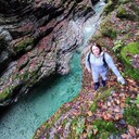 ���������� ���������, ���� ������� ������, 42 ����, ������������ ��� ����� � ���������, c�������� ���������