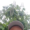 ���������� ����������, ���� ������� �����, 41 ���, ������������ ��� ������, ����� � ���������