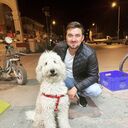  ,   Zeybek, 35 ,   ,   