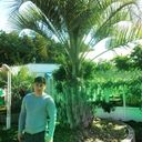  ,   , 42 ,   ,   , c 