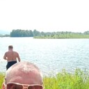  ,   , 47 ,   ,   