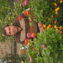  ,   , 97 ,  