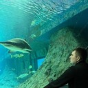 ���������� �������������, ���� ������� �������, 30 ���, ������������ ��� c�������� ���������, ���������