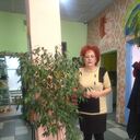 ���������� ������, ���� ������� ����, 71 ���, ������������ ��� c�������� ���������