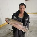 ���������� ����-���������, ���� ������� �����, 32 ����, ������������ ��� ������, ����� � ���������, c�������� ���������, ���������