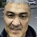 ���������� ���������, ���� ������� ���������, 43 ����, ������������ ��� ������, ����� � ���������