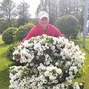 ���������� �����-���������, ���� ������� �����, 60 ���, ������������ ��� ������, ����� � ���������