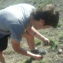 ���������� ������, ���� ������� ������, 37 ���, ������������ ��� ������, ����� � ���������, c�������� ���������