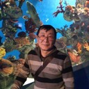 ���������� ����������, ���� ������� ������ ���, 66 ���, ������������ ��� ������, ����� � ���������, c�������� ���������