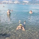 ���������� ������-��-����, ���� ������� ����, 37 ���, ������������ ��� ������, ����� � ���������