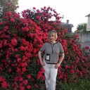  ,   , 55 ,   ,   , 