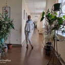 ���������� ����, ���� ������� ������, 37 ���, ������������ ��� ������, ����� � ���������, c�������� ���������