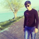  ,   Lion, 31 ,   