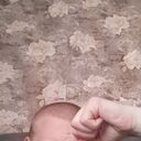 ���������� ��������, ���� ����� �����, 19 ���, ������������ ��� ������, ����� � ���������