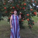  ,   , 61 ,   ,   , c 