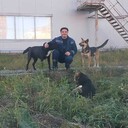 ���������� ������������, ���� ������� ����������, 44 ����, ������������ ��� c�������� ���������