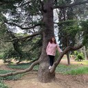 ,   , 48 ,   c 