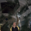 ���������� ������, ���� ������� ������, 55 ���, ������������ ��� ����� � ���������, c�������� ���������