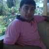  ,   Vasif, 41 ,     , c 