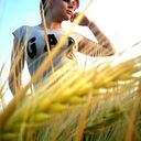 ���������� ������, ���� ������� �����, 35 ���, ������������ ��� ������, ����� � ���������, c�������� ���������