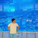 ���������� �������, ���� ������� ��������, 30 ���, ������������ ��� ������, ����� � ���������