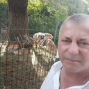 ���������� �����������, ���� ������� ������, 52 ����, ������������ ��� ������, ����� � ���������, ���������