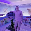 ���������� �����������, ���� ������� �������, 34 ����, ������������ ��� ������, ����� � ���������, c�������� ���������