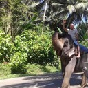  Ahaus,   , 63 ,     