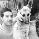 ���������� ����������, ���� ������� ����, 36 ���, ������������ ��� ������, ����� � ���������, c�������� ���������