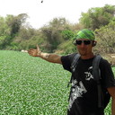 ���������� ������ ���, ���� ������� ����, 49 ���, ������������ ��� ����� � ���������, c�������� ���������